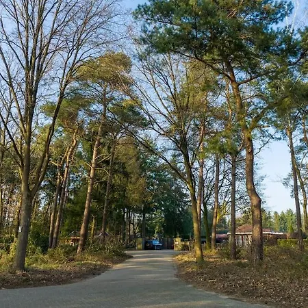 Holiday home Ruim Met Mooie Tuin Op De Veluwe Putten