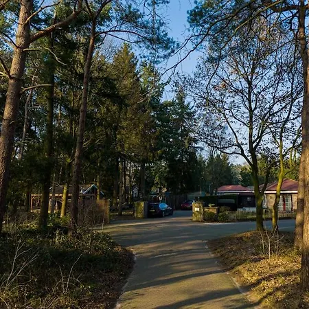 Ruim Met Mooie Tuin Op De Veluwe Putten