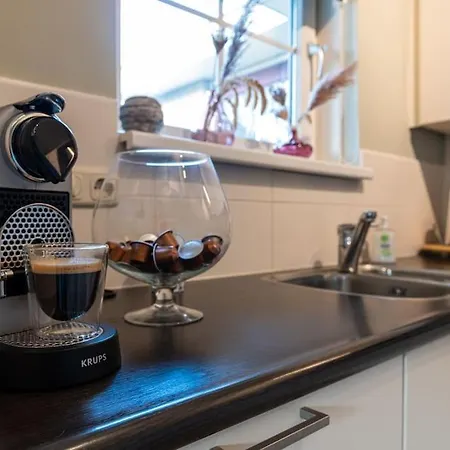 Ruim Met Open Haard & Tuin - Putten, Veluwe Holiday home Putten