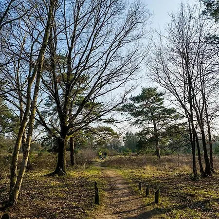 Prázdninový dům Ruim Met Mooie Tuin Op De Veluwe