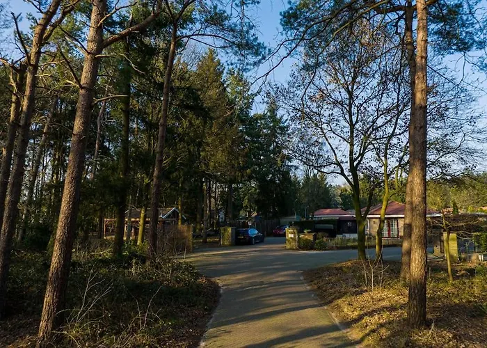 Ruim Met Mooie Tuin Op De Veluwe Putten