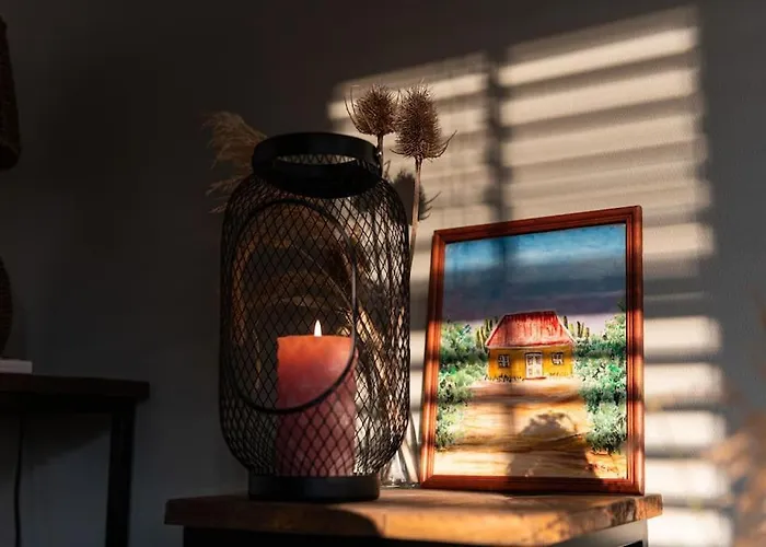 Ruim Met Mooie Tuin Op De Veluwe Semesterbostad