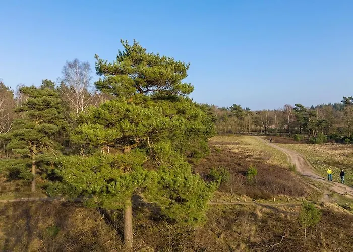Ruim Met Mooie Tuin Op De Veluwe Semesterbostad *