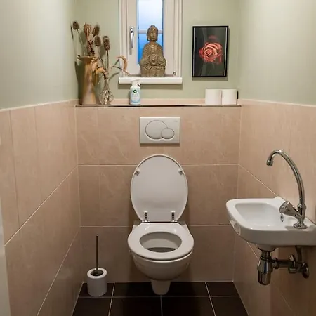 Ruim Met Mooie Tuin Op De Veluwe Putten