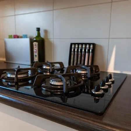 Ferienhaus Ruim Met Mooie Tuin Op De Veluwe