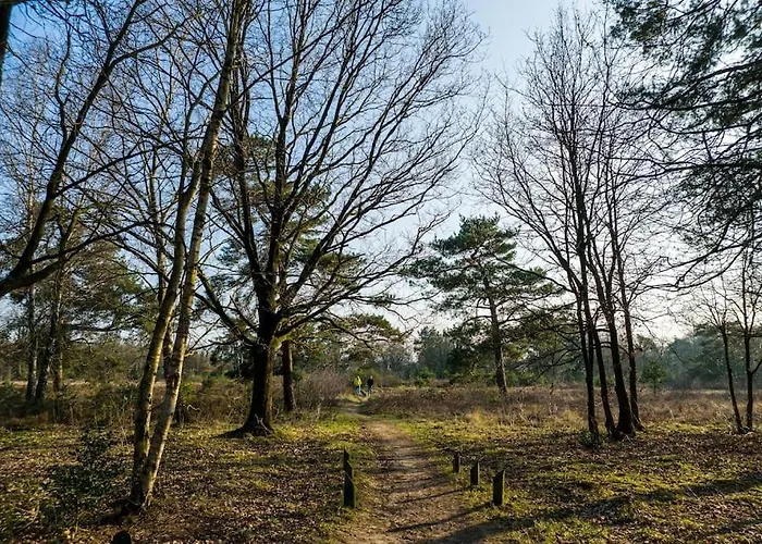 펜션 Ruim Met Mooie Tuin Op De Veluwe